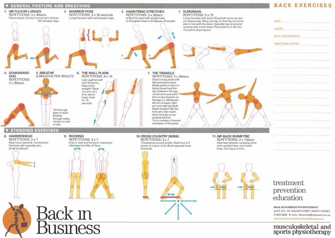 Addressing Low Back Pain while Performing a Squat (Weighted or Unweighted)  - InSync Physiotherapy