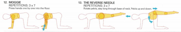 Oscillation Moggie Reverse Needle