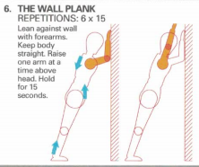 Wall plank