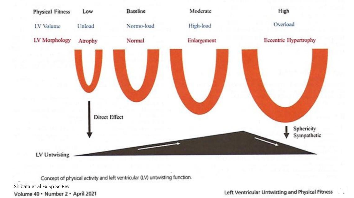 Ventricular hypertrophy