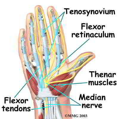 hand carpal tunnel