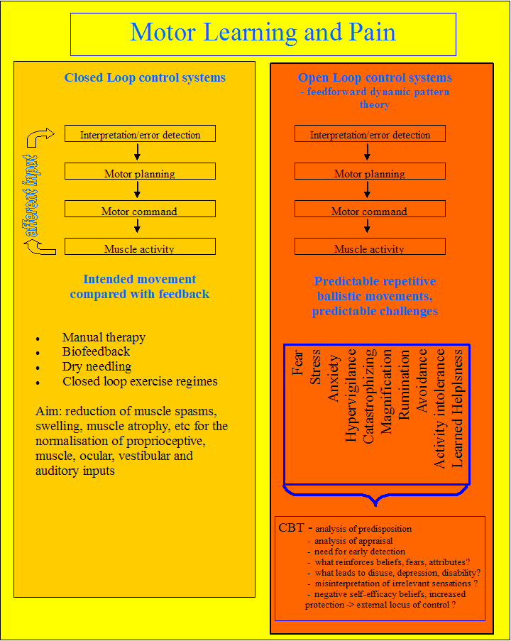 MotorControlPainCBT