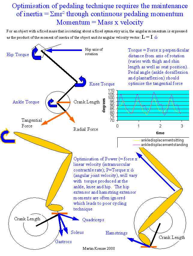 crank cycling joint