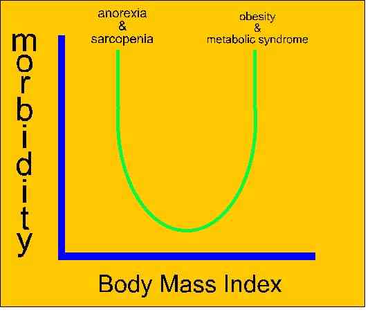 Body Mass Index