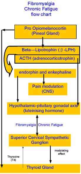 hypopituitary