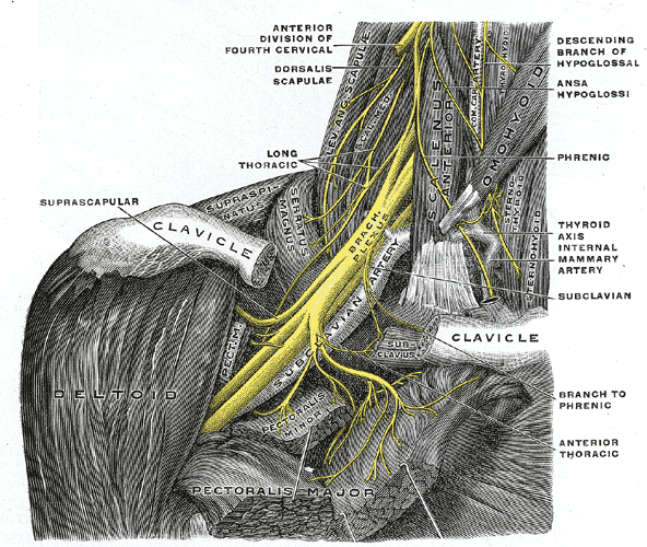 injury blog: thoracic outlet syndrome