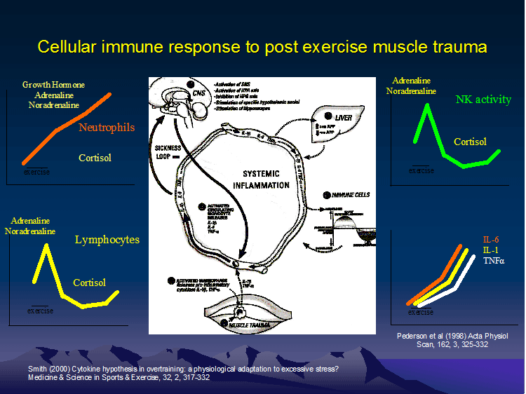 Truth or Myth: Elevating Your Legs Improves Post-Workout Recovery - CTS