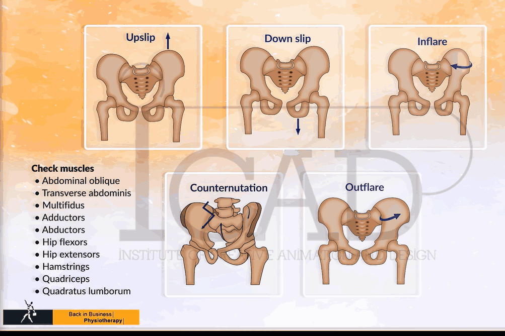 Pelvic Malalignment