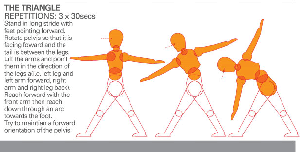 Four sling exercises. (A): supine pelvic lift (SPL); (B): prone