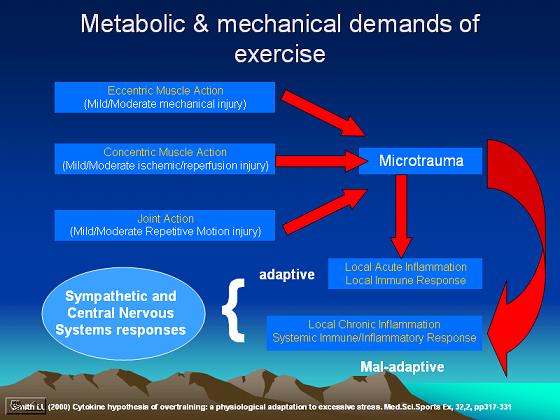 Treating Systemic Muscle Pain - A Short Blog By Emed