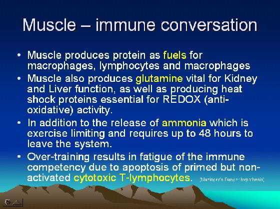 Muscle immune conversation