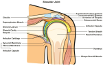Shoulder injury blog: Labral tear